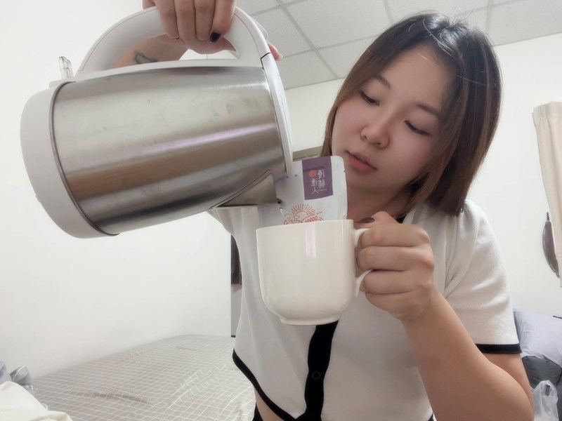 試用
